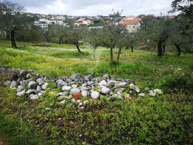 Terreno para Venda em Santa Catarina da Serra e Chainça Foto 7