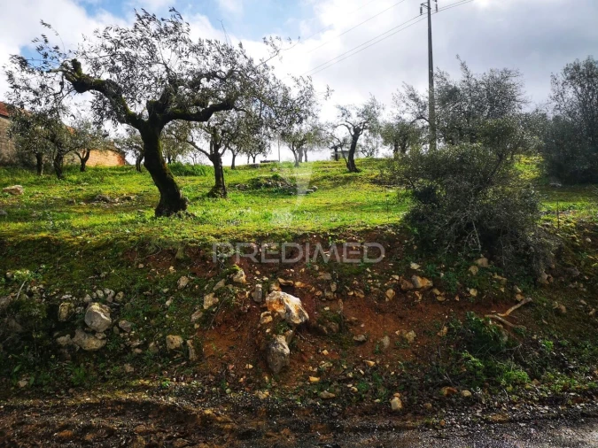 Terreno para Venda em Santa Catarina da Serra e Chainça Foto 2