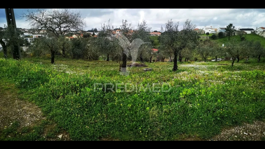 Terreno para Venda em Santa Catarina da Serra e Chainça