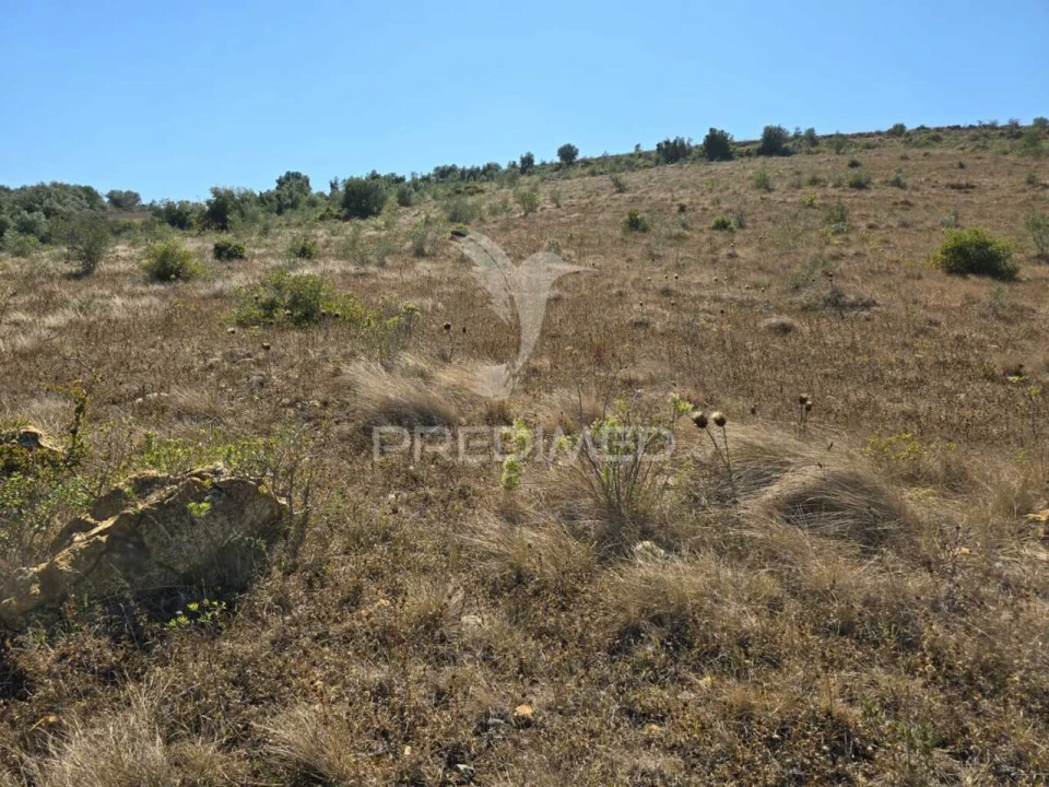 Terreno para Venda em Venda do Pinheiro e Santo Estêvão das Galés Foto 4