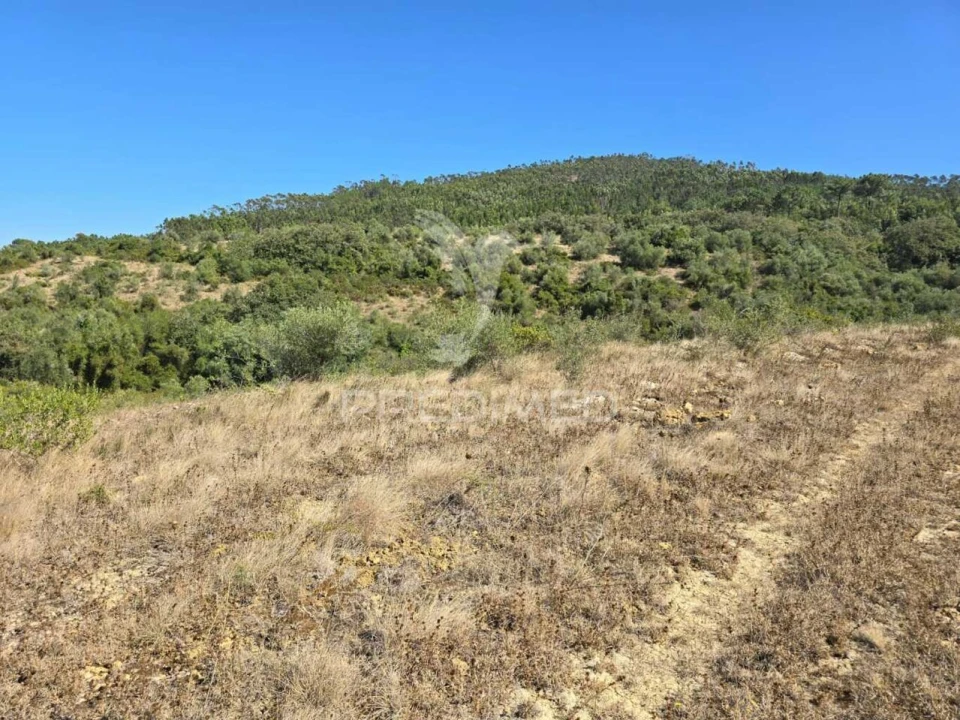 Terreno para Venda em Venda do Pinheiro e Santo Estêvão das Galés Foto 3