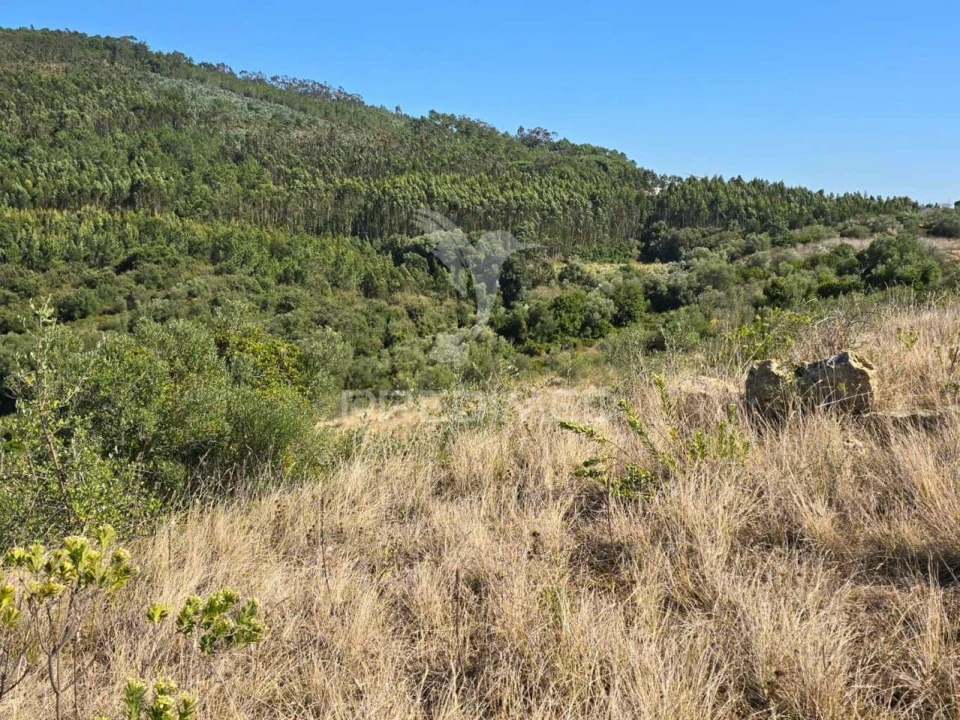 Terreno para Venda em Venda do Pinheiro e Santo Estêvão das Galés Foto 15