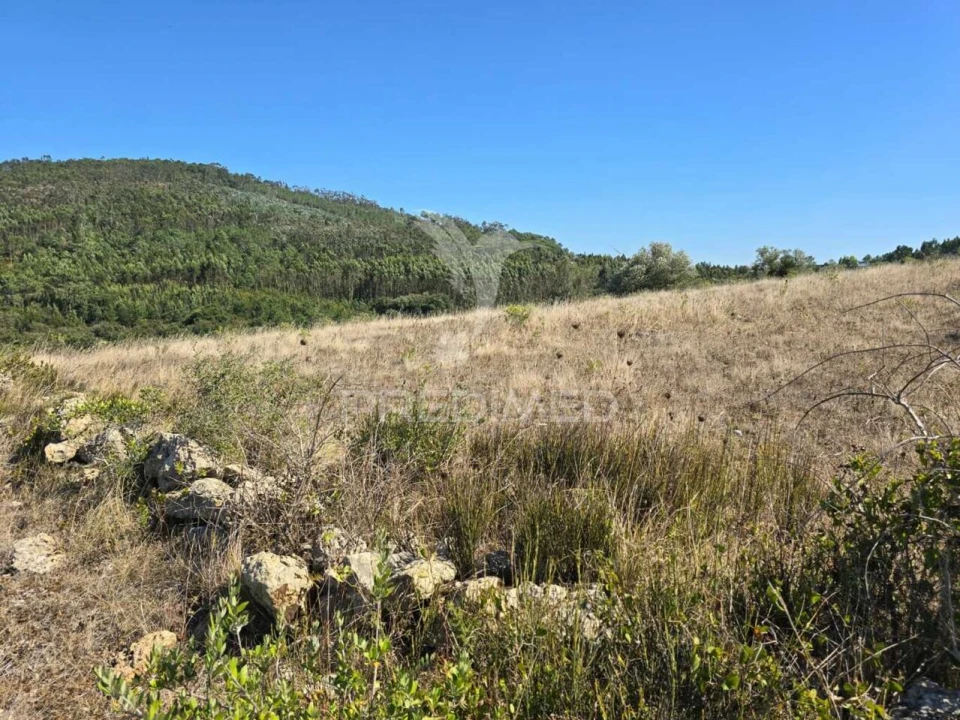 Terreno para Venda em Venda do Pinheiro e Santo Estêvão das Galés Foto 8