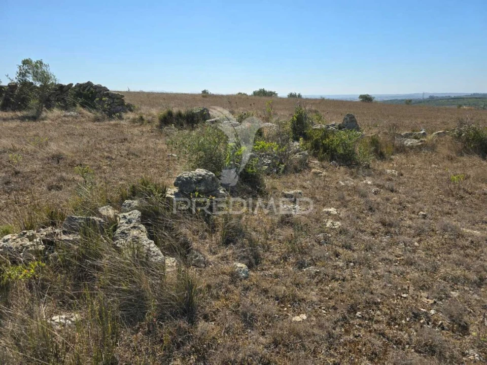 Terreno para Venda em Venda do Pinheiro e Santo Estêvão das Galés Foto 9