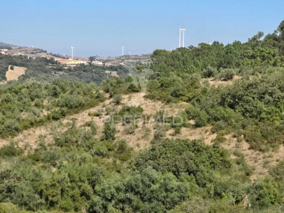 Terreno para Venda em Venda do Pinheiro e Santo Estêvão das Galés Foto 24