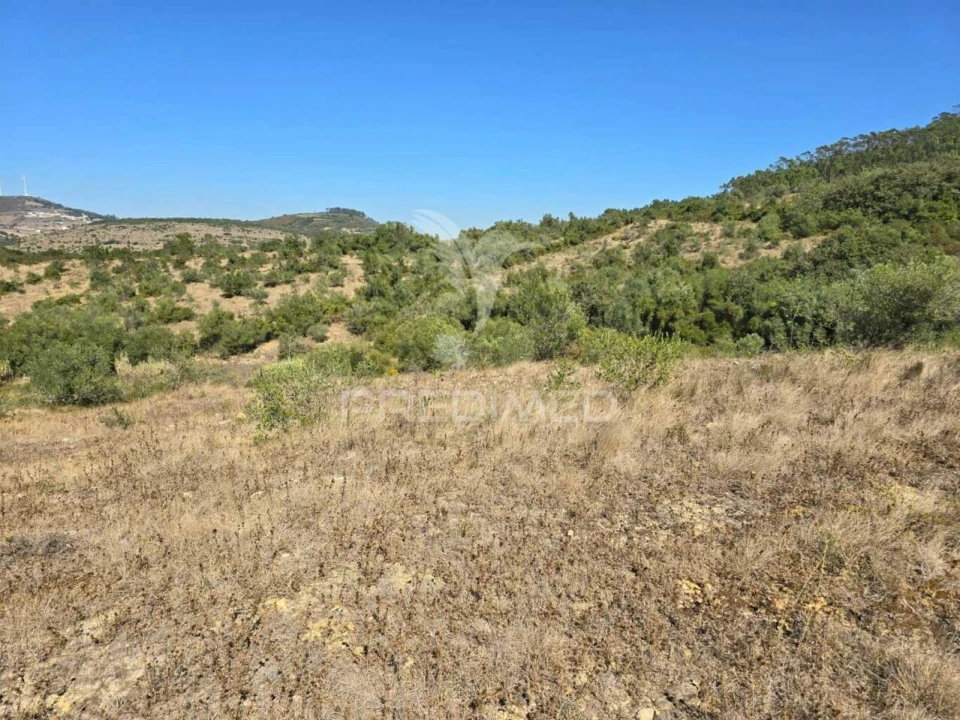 Terreno para Venda em Venda do Pinheiro e Santo Estêvão das Galés Foto 13
