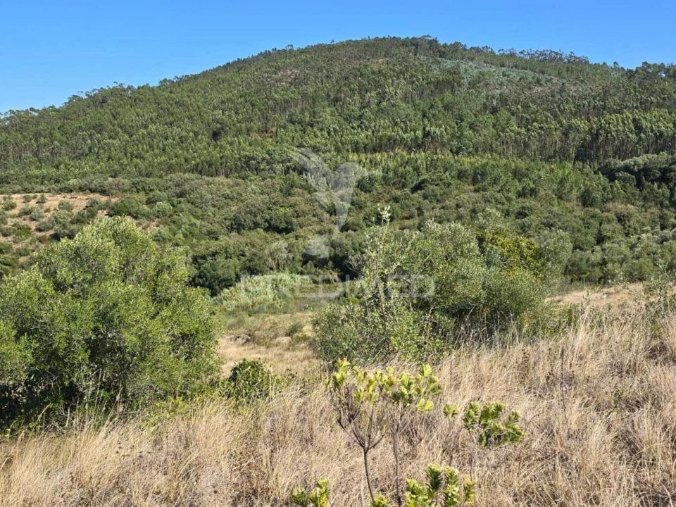 Terreno para Venda em Venda do Pinheiro e Santo Estêvão das Galés Foto 16
