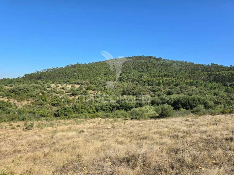 Terreno para Venda em Venda do Pinheiro e Santo Estêvão das Galés Foto 23