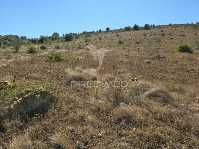 Terreno para Venda em Venda do Pinheiro e Santo Estêvão das Galés Foto 4