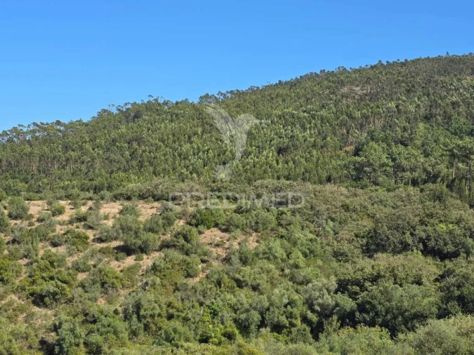 Terreno para Venda em Venda do Pinheiro e Santo Estêvão das Galés Foto 29