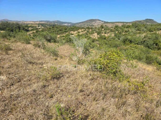 Terreno para Venda em Venda do Pinheiro e Santo Estêvão das Galés Foto 2