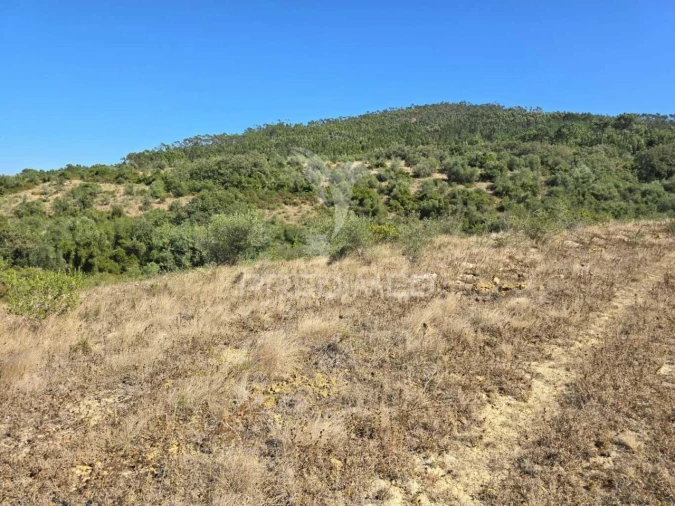 Terreno para Venda em Venda do Pinheiro e Santo Estêvão das Galés Foto 5