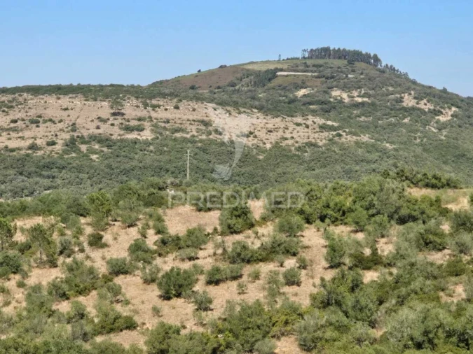 Terreno para Venda em Venda do Pinheiro e Santo Estêvão das Galés Foto 26