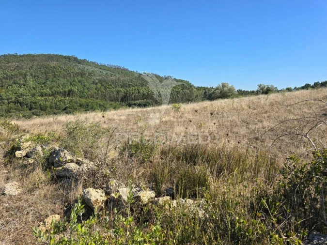 Terreno para Venda em Venda do Pinheiro e Santo Estêvão das Galés Foto 8