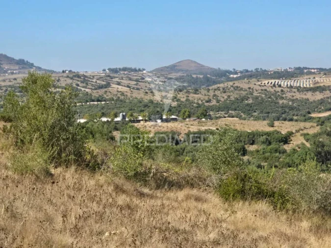 Terreno para Venda em Venda do Pinheiro e Santo Estêvão das Galés Foto 28