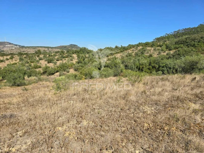 Terreno para Venda em Venda do Pinheiro e Santo Estêvão das Galés Foto 13