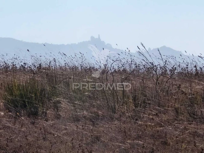 Terreno para Venda em Venda do Pinheiro e Santo Estêvão das Galés Foto 21