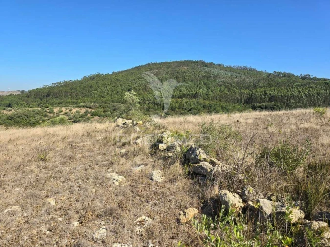 Terreno para Venda em Venda do Pinheiro e Santo Estêvão das Galés Foto 12