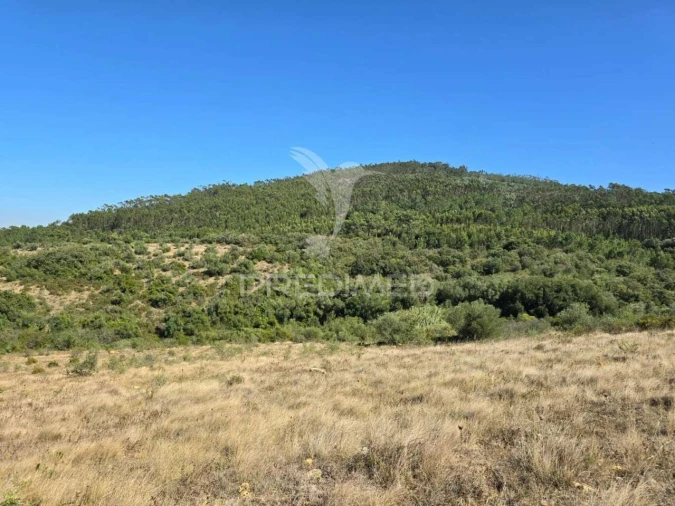 Terreno para Venda em Venda do Pinheiro e Santo Estêvão das Galés Foto 23