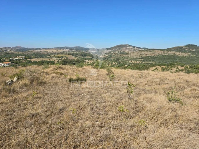 Terreno para Venda em Venda do Pinheiro e Santo Estêvão das Galés Foto 20