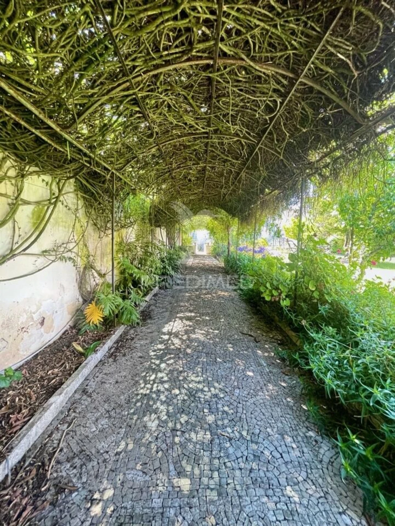 Moradia T9 para Venda em Alcanena e Vila Moreira Foto 39