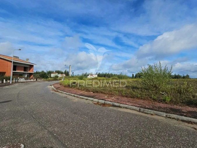 Terreno para Venda em São Pedro de Alva e São Paio de Mondego Foto 2