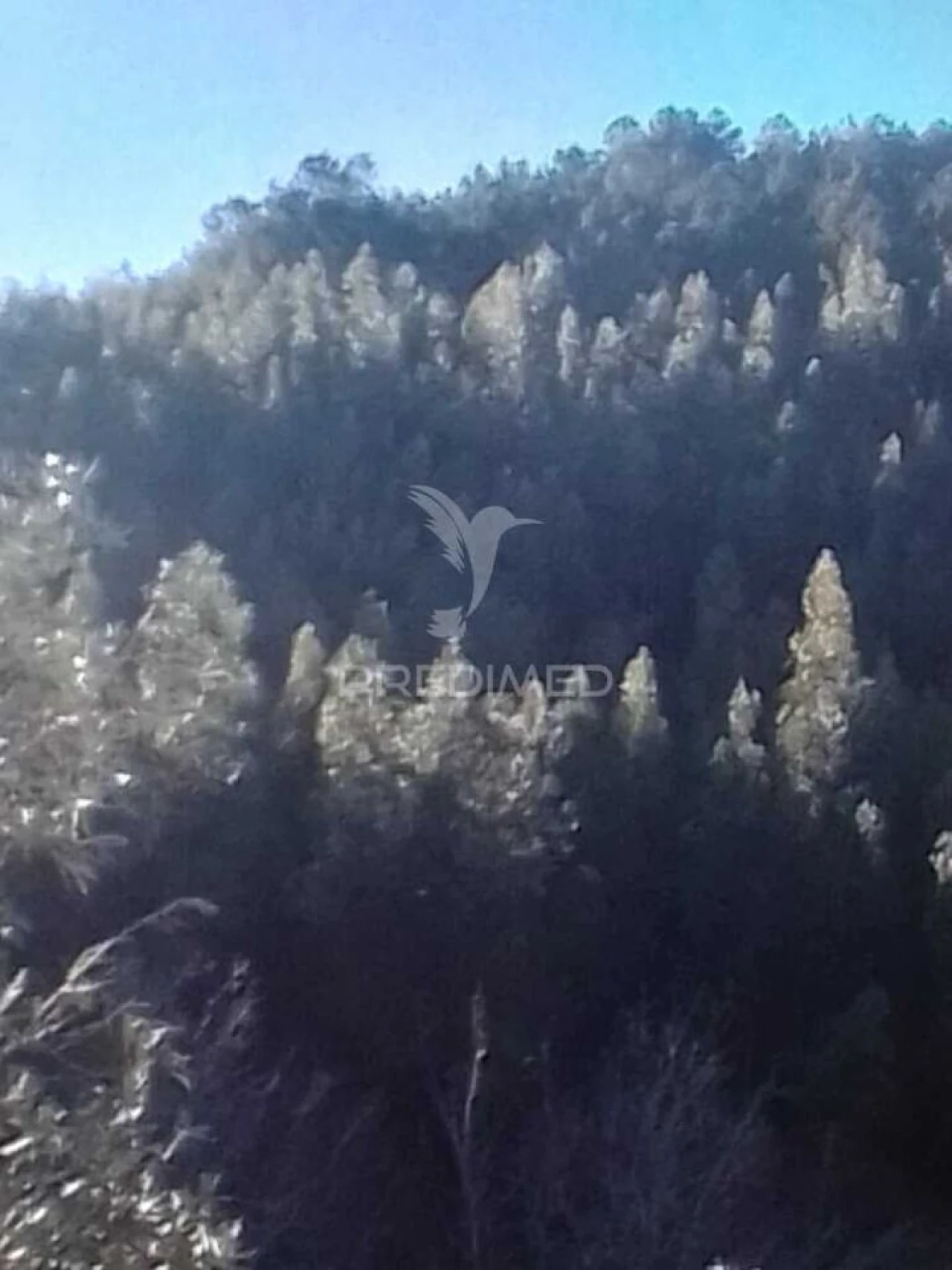 Terreno para Venda em Reguengo e São Julião Foto 1