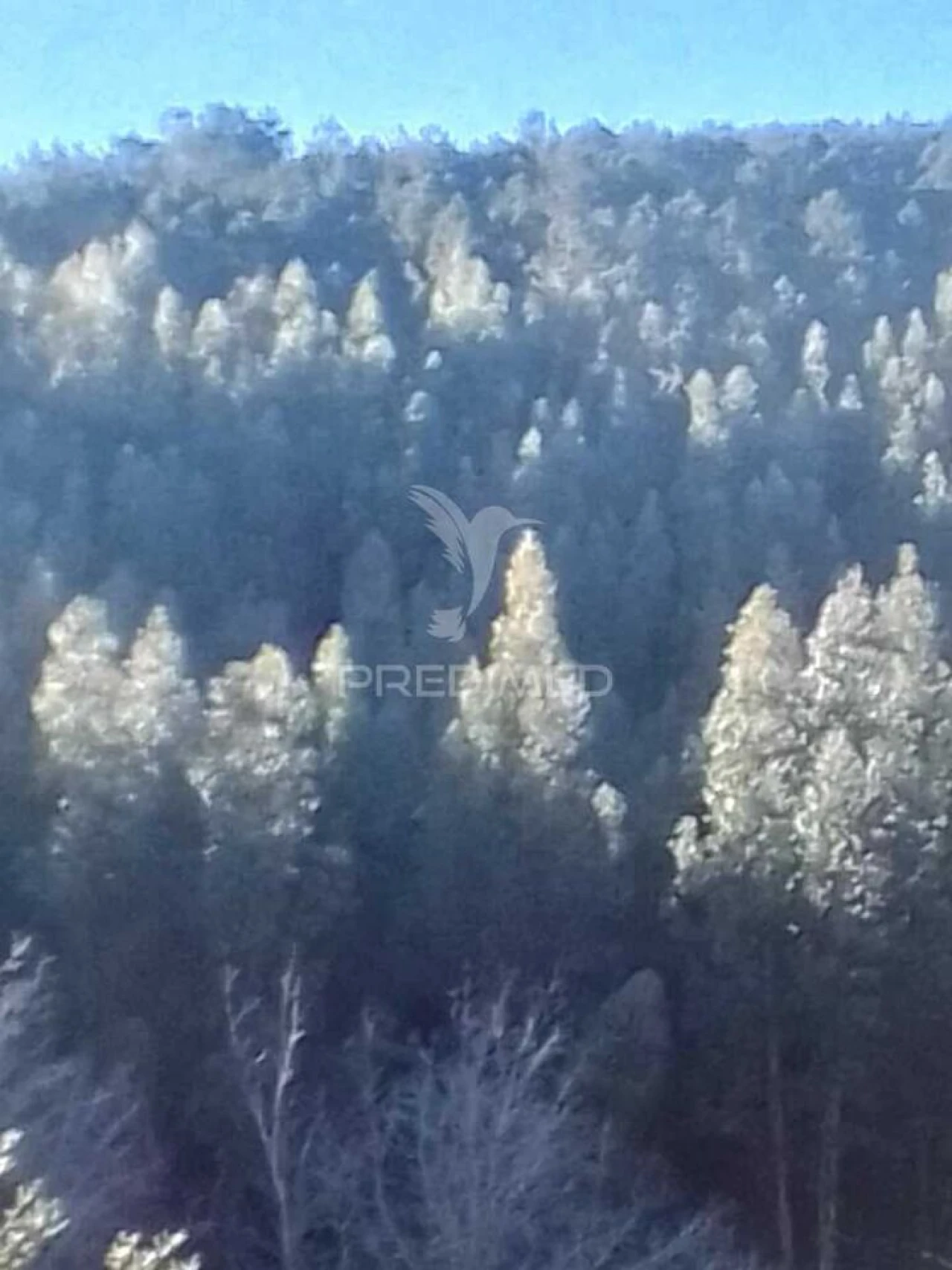 Terreno para Venda em Reguengo e São Julião Foto 2