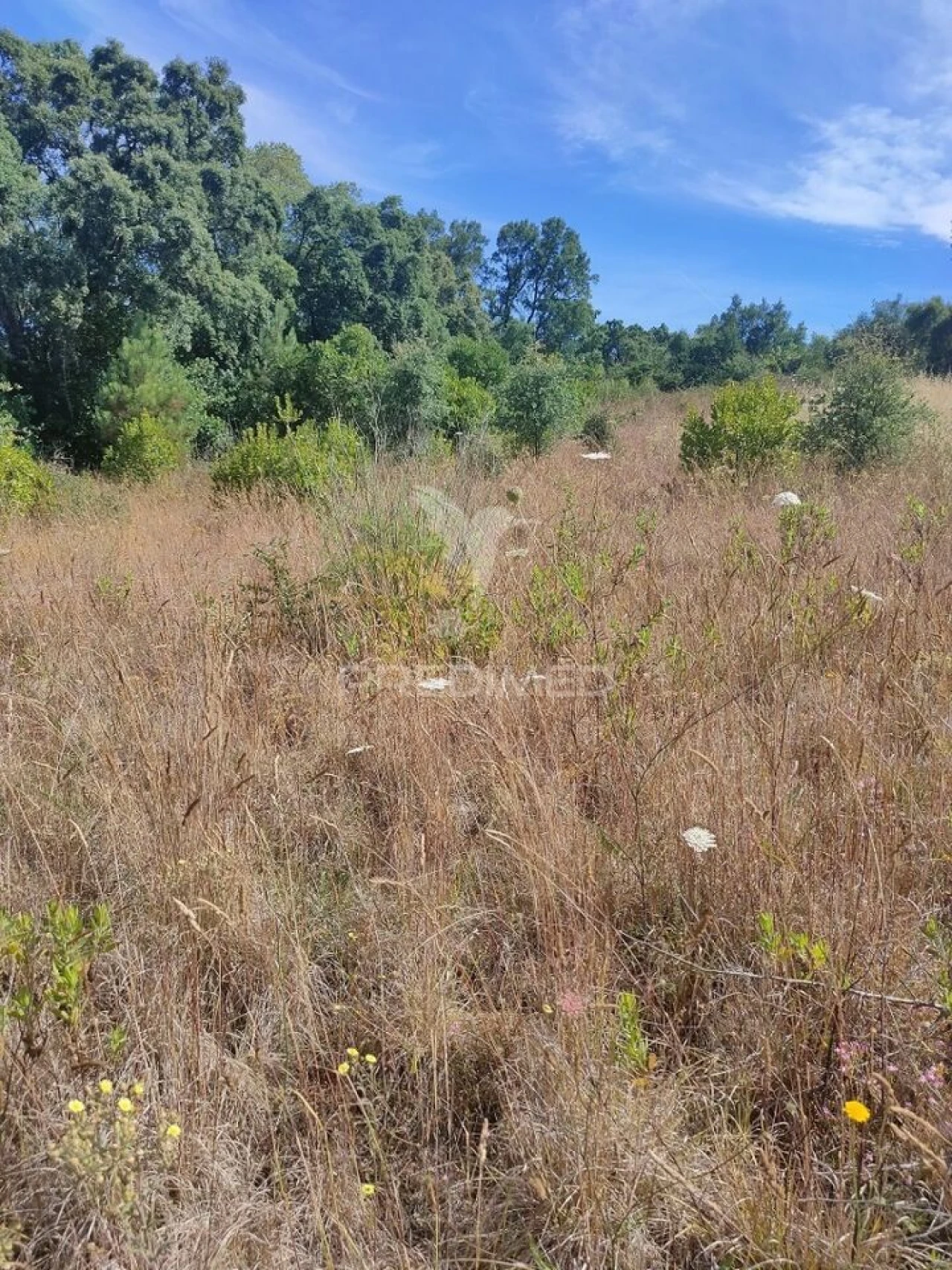 Terreno para Venda em Serra e Junceira Foto 1
