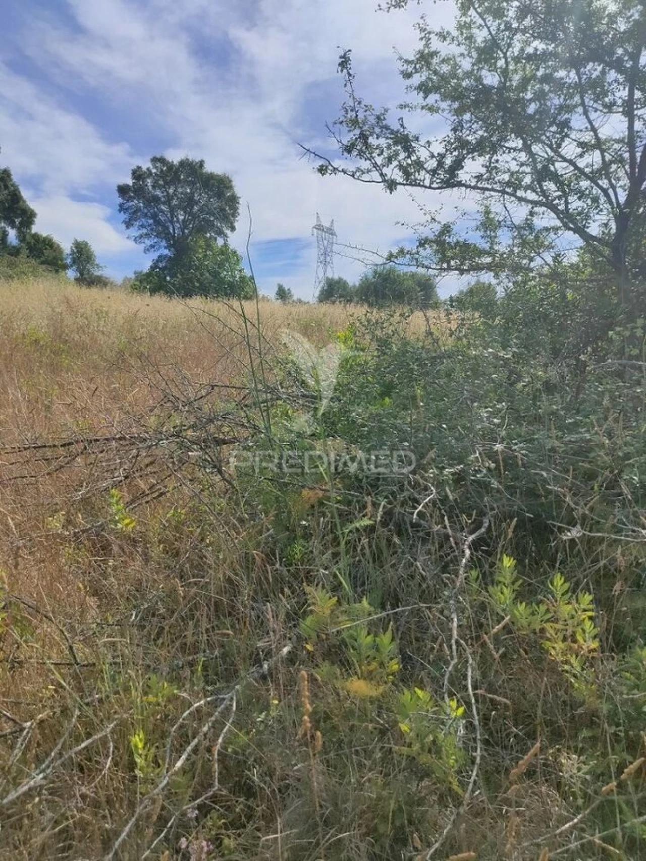 Terreno para Venda em Serra e Junceira Foto 2