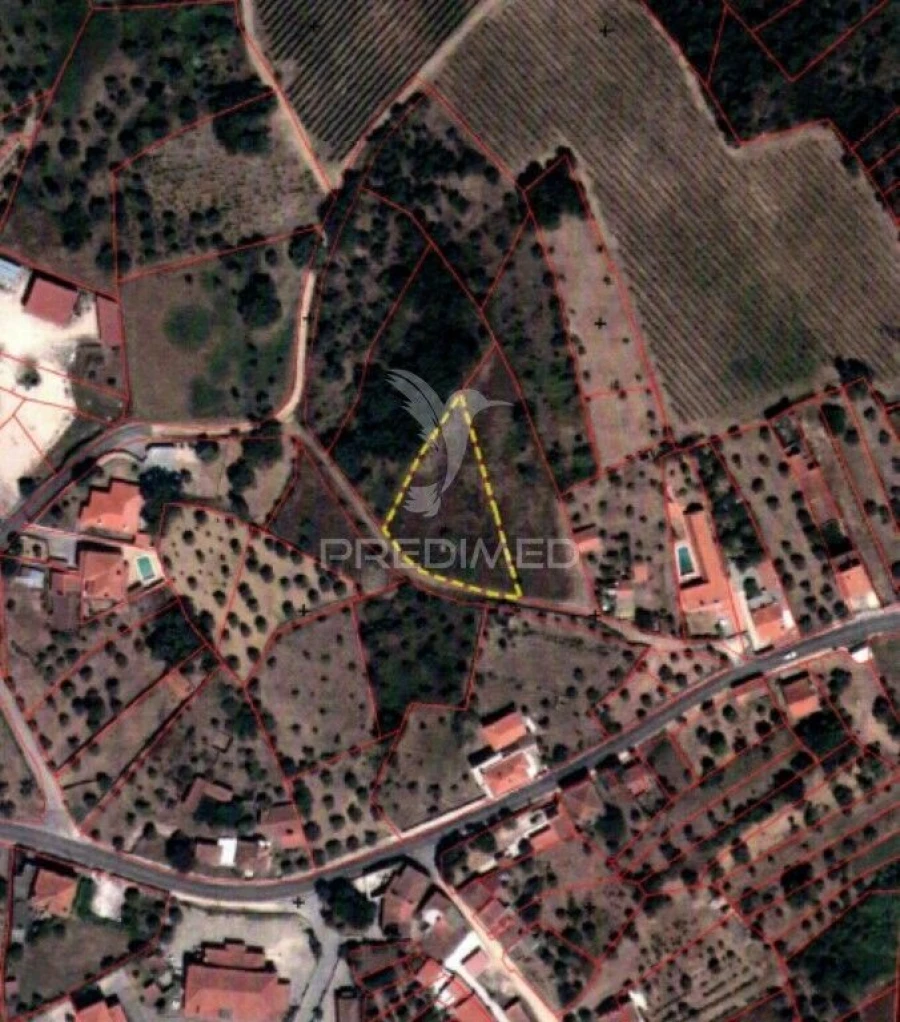 Terreno para Venda em Serra e Junceira Foto 9