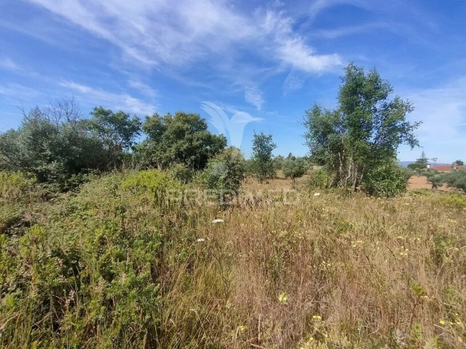 Terreno para Venda em Serra e Junceira Foto 4