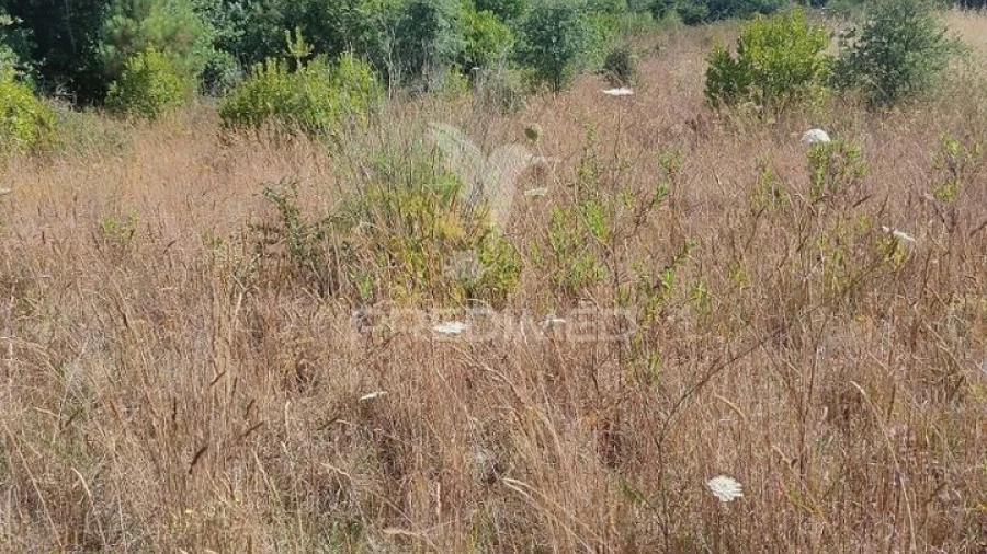 Terreno para Venda em Serra e Junceira