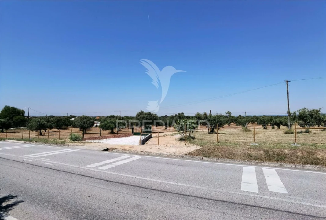 Quinta T0 para Venda em Casével e Vaqueiros Foto 8