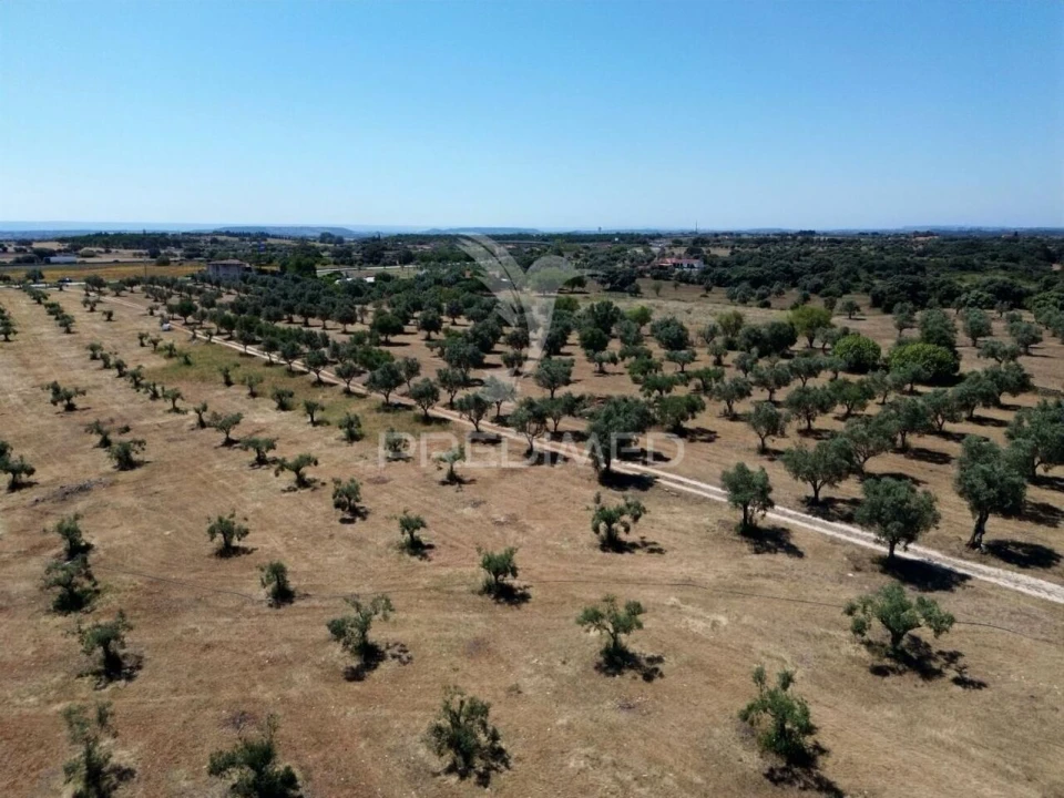 Quinta T0 para Venda em Casével e Vaqueiros Foto 19