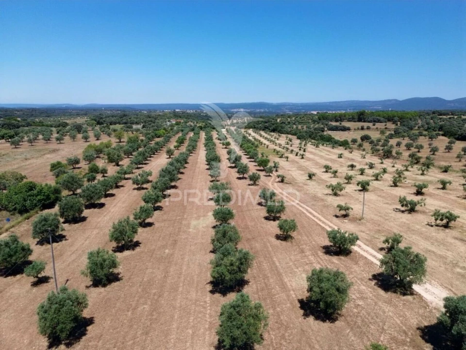 Quinta T0 para Venda em Casével e Vaqueiros Foto 26