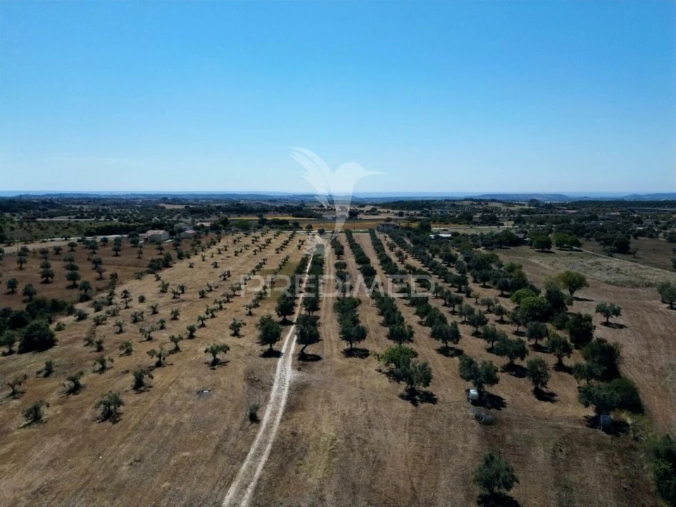 Quinta T0 para Venda em Casével e Vaqueiros Foto 20