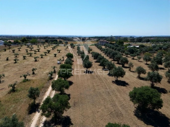 Quinta T0 para Venda em Casével e Vaqueiros Foto 10