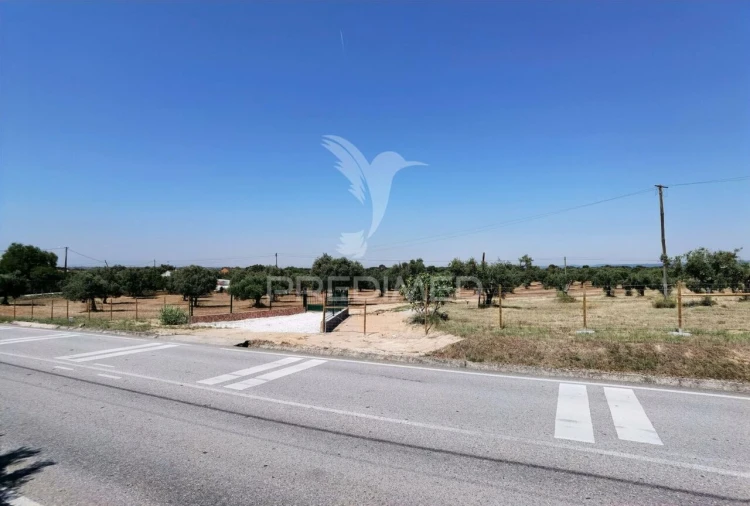 Quinta T0 para Venda em Casével e Vaqueiros Foto 8