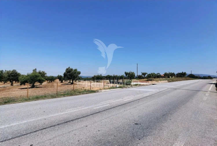 Quinta T0 para Venda em Casével e Vaqueiros Foto 7