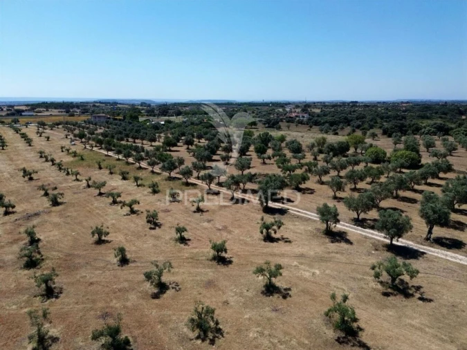 Quinta T0 para Venda em Casével e Vaqueiros Foto 19