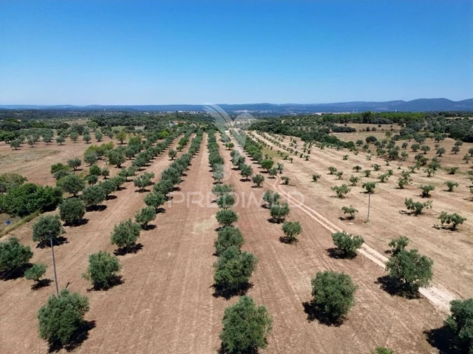 Quinta T0 para Venda em Casével e Vaqueiros Foto 26