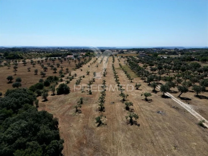 Quinta T0 para Venda em Casével e Vaqueiros Foto 15