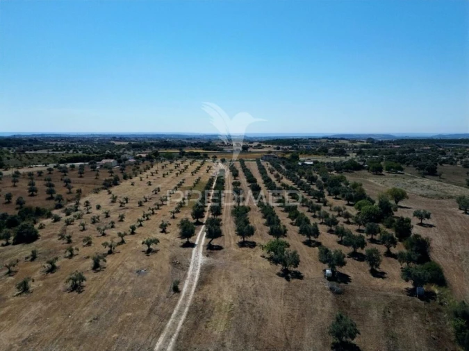 Quinta T0 para Venda em Casével e Vaqueiros Foto 20