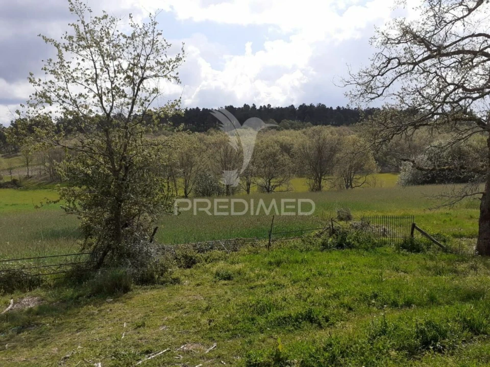 Quinta T6 para Venda em Trancoso (São Pedro e Santa Maria) e Souto Maior Foto 6