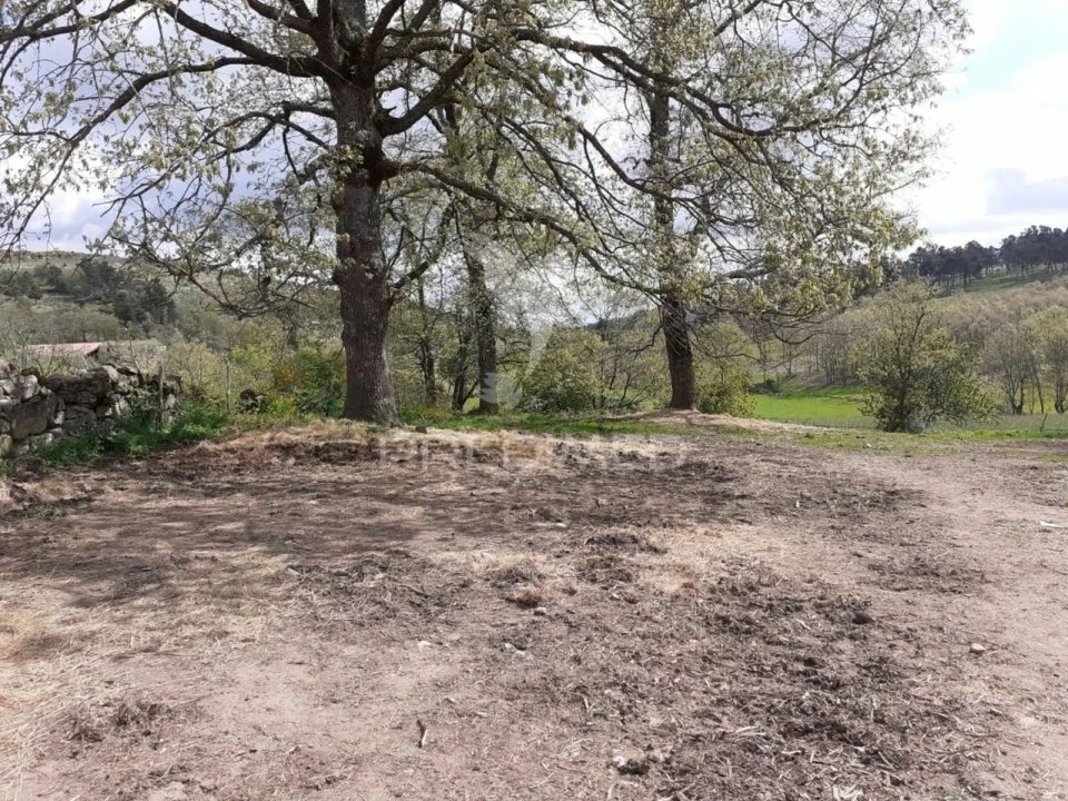Quinta T6 para Venda em Trancoso (São Pedro e Santa Maria) e Souto Maior Foto 8