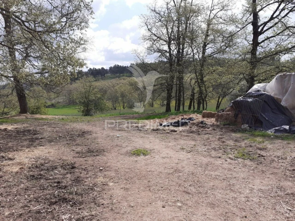 Quinta T6 para Venda em Trancoso (São Pedro e Santa Maria) e Souto Maior Foto 2