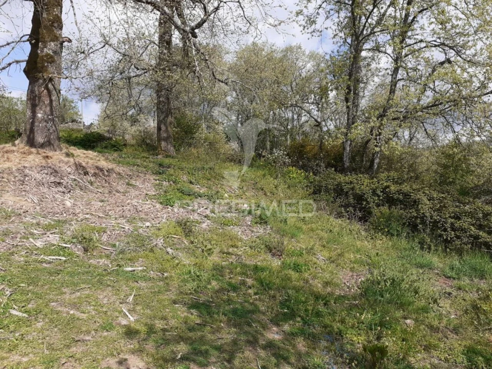 Quinta T6 para Venda em Trancoso (São Pedro e Santa Maria) e Souto Maior Foto 9
