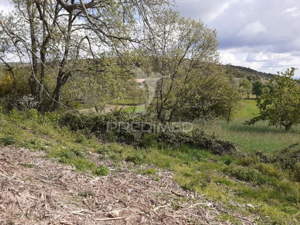 Quinta T6 para Venda em Trancoso (São Pedro e Santa Maria) e Souto Maior Foto 3