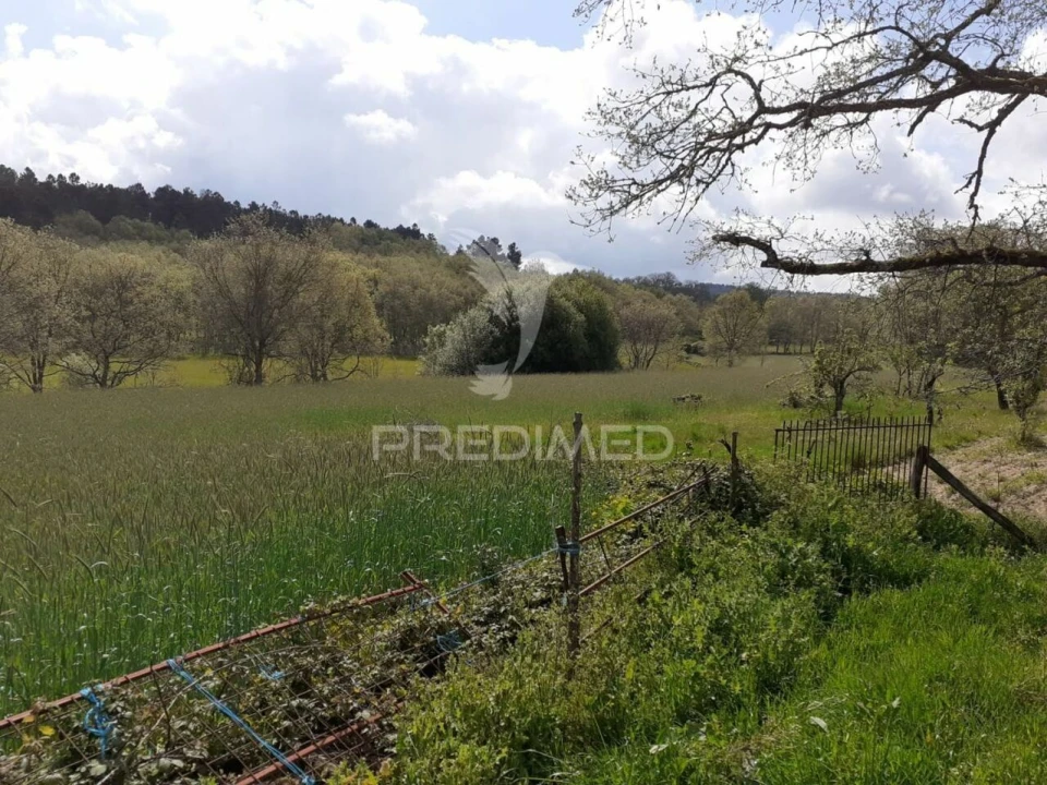 Quinta T6 para Venda em Trancoso (São Pedro e Santa Maria) e Souto Maior Foto 5